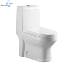 Aquacubic Modern Design S-trap&P-strap One-piece Washdown WC Toilet